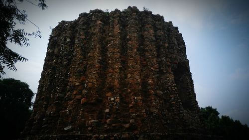 Low angle view of trees against sky