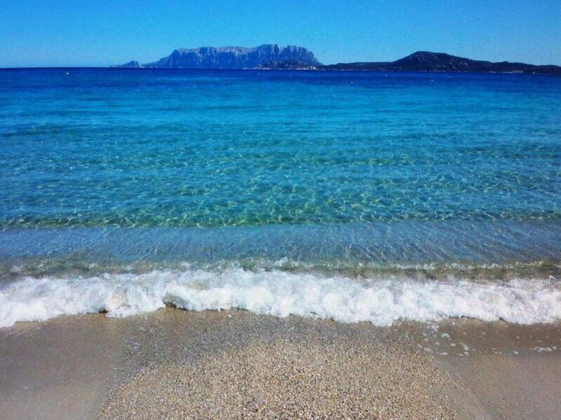 SCENIC VIEW OF BEACH AGAINST CLEAR BLUE SKY