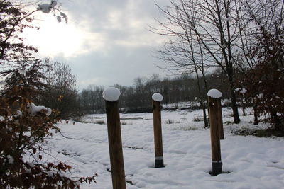 Trees on snow field against sky during winter