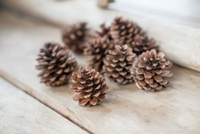 High angle view of pine cone on table