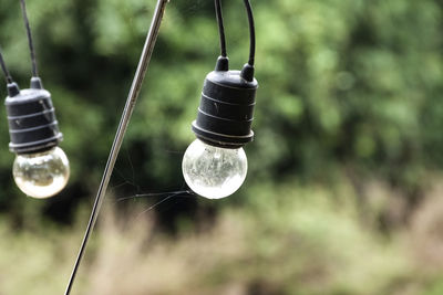 Close-up of light bulb