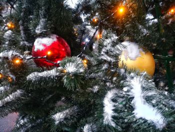 Close-up of illuminated christmas tree at night