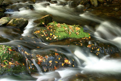 Blurred motion of water flowing in stream