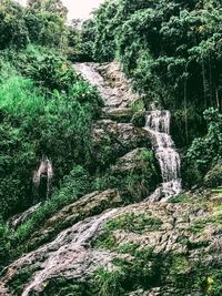 Scenic view of waterfall in forest