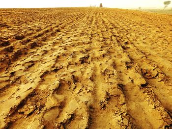 Scenic view of sand