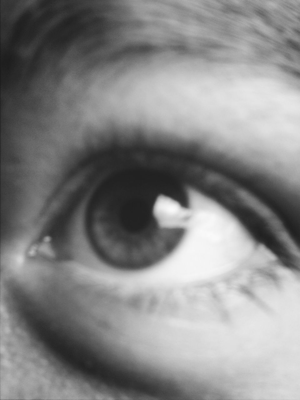 human eye, close-up, eyesight, eyelash, looking at camera, sensory perception, portrait, part of, indoors, extreme close-up, eyeball, iris - eye, lifestyles, human skin, extreme close up, unrecognizable person, selective focus