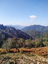 Scenic view of landscape against sky