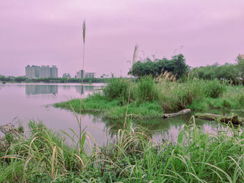 Scenic view of lake against sky