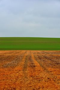 Scenic view of field against sky