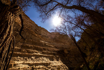 Low angle view of bare trees against sky