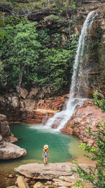 Rear view of man standing in waterfall