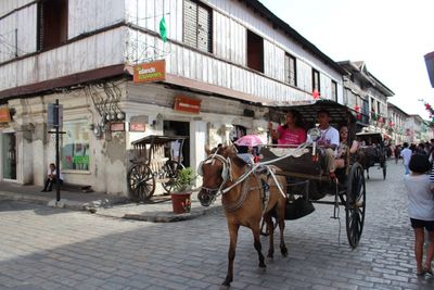 Horse cart in city