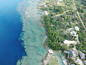 High angle view of trees on beach