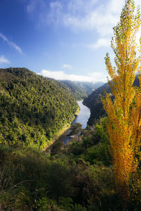 Scenic view of landscape against sky during autumn