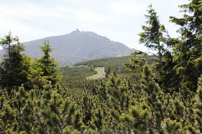 Scenic view of mountain against sky