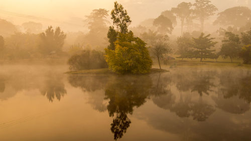 Reflection of trees in lake against sky