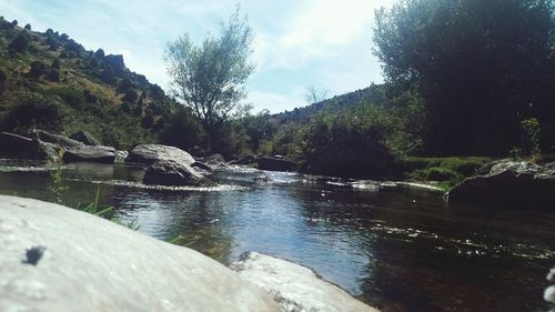 River flowing through rocks