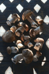 High angle view of mushrooms