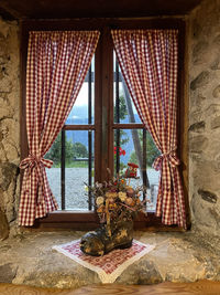 Potted plants on table by window in house