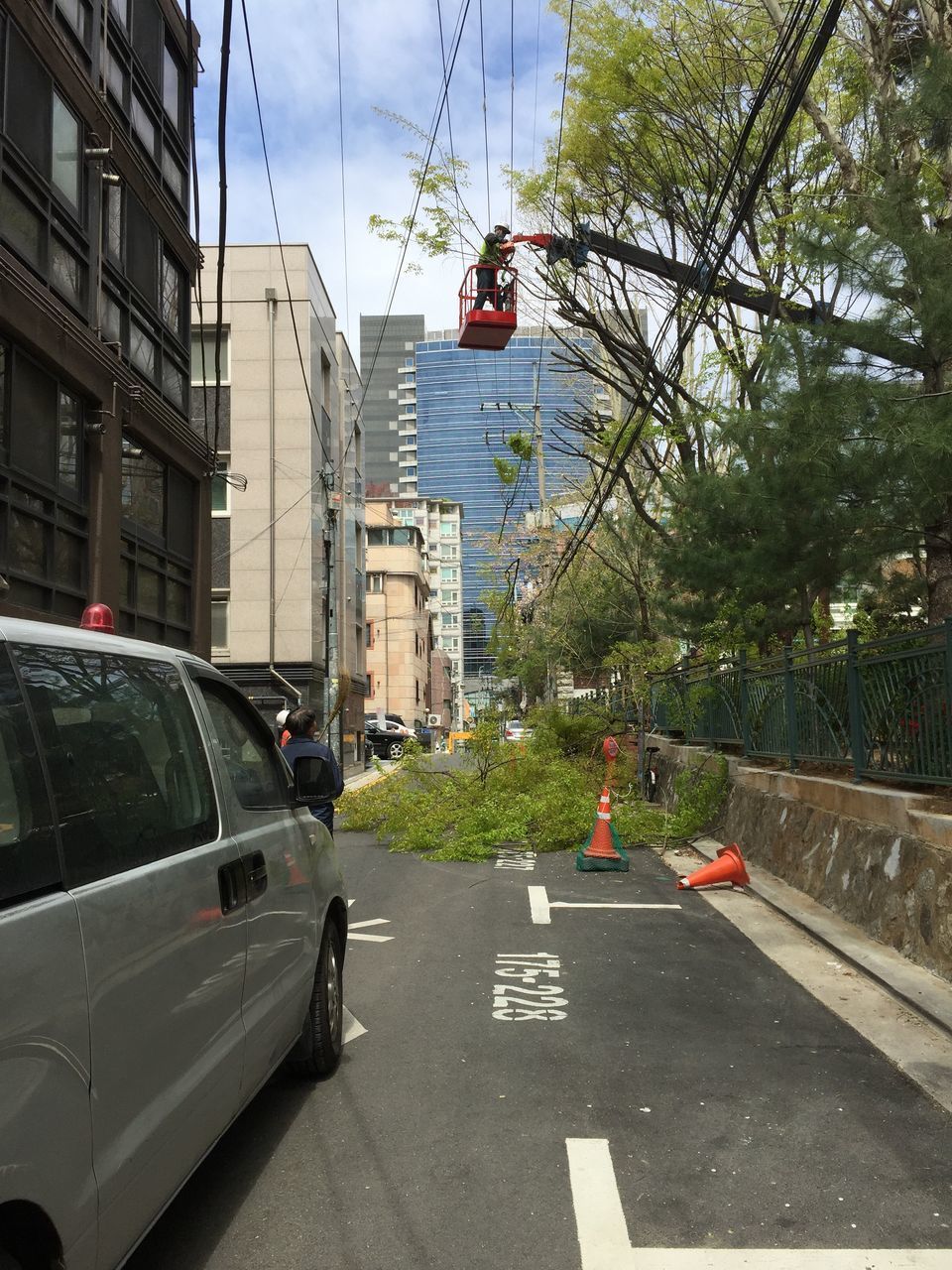 VEHICLES ON ROAD BY BUILDINGS