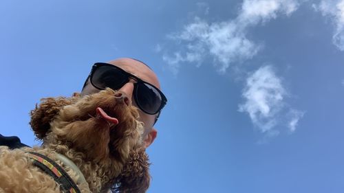 Low angle view of dog by sunglasses against sky