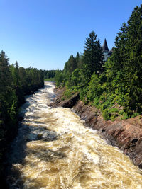 Scenic view of river amidst trees against clear sky