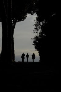 Silhouette people standing against trees