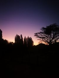 Silhouette trees against clear sky during sunset