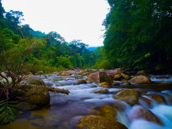 Scenic view of waterfall in forest against clear sky