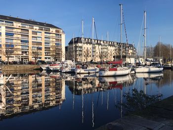 Sailboats moored in harbor