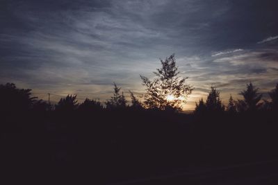 Silhouette trees on landscape against sky at sunset