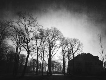 Bare trees against sky