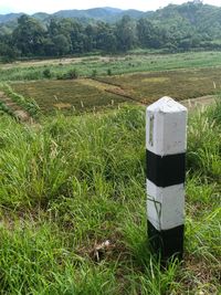 Scenic view of agricultural field