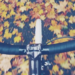 Close-up of object against blurred background