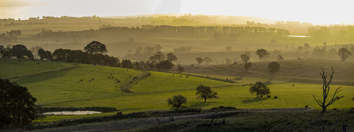 Scenic view of field against sky during sunset