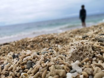 Surface level of stones on beach