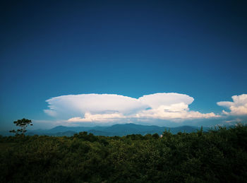 Scenic view of landscape against blue sky