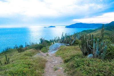 Scenic view of sea against sky