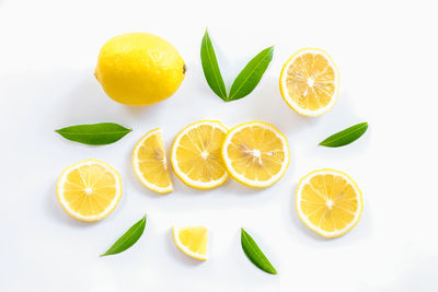 Orange fruits on white background