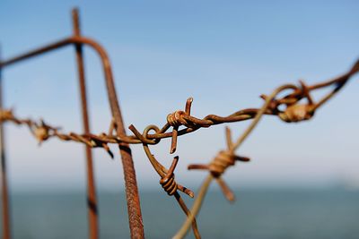 Close-up of barbed wire against clear blue sky
