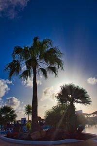 Low angle view of palm trees against blue sky