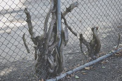 Close-up of chainlink fence against sky
