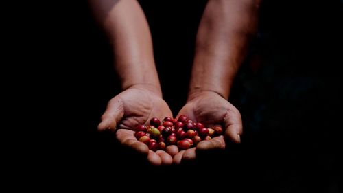 Close-up of hand holding berries over black background