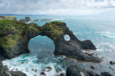 Rocks of arnarstapi with nesting birds, iceland, snaefellsness. black stone cliffs with birds nests.