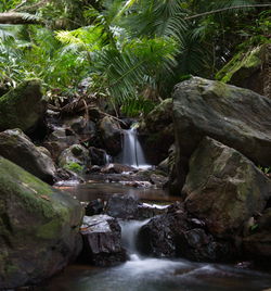 Scenic view of waterfall in forest