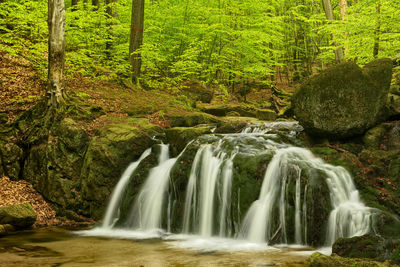 View of waterfall in forest