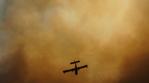 Low angle view of airplane flying in sky