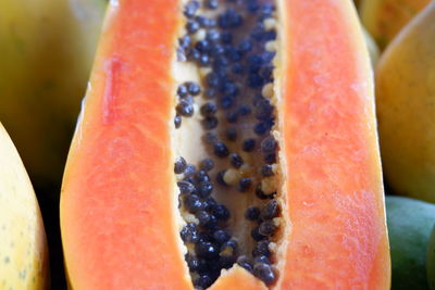 Close-up of oranges