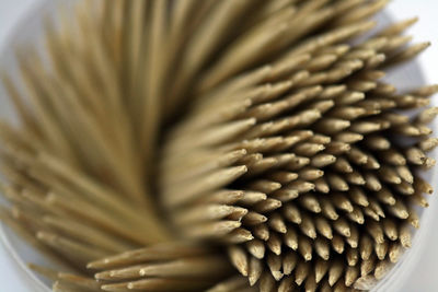 Close-up of toothpicks in container