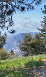 Scenic view of landscape against cloudy sky